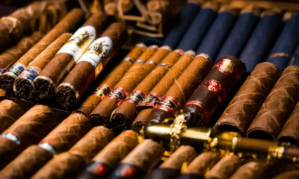Unveiling the World of Cigars: How to Choose and Renowned Manufacturers to Explore