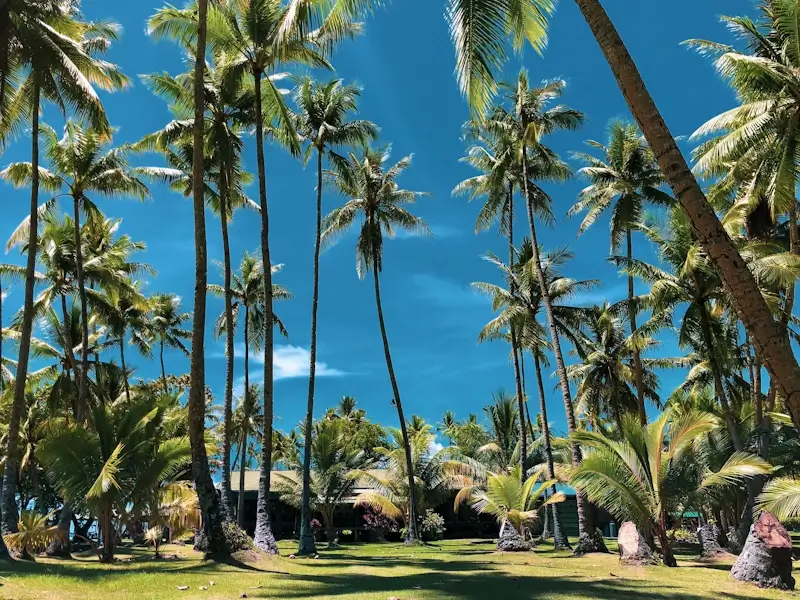 Travel Micronesia